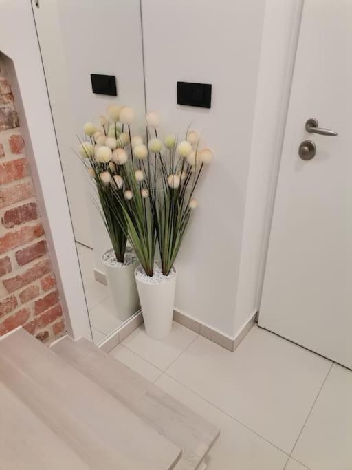 Studio Apartman Lenox Rijeka Exteriér fotografie